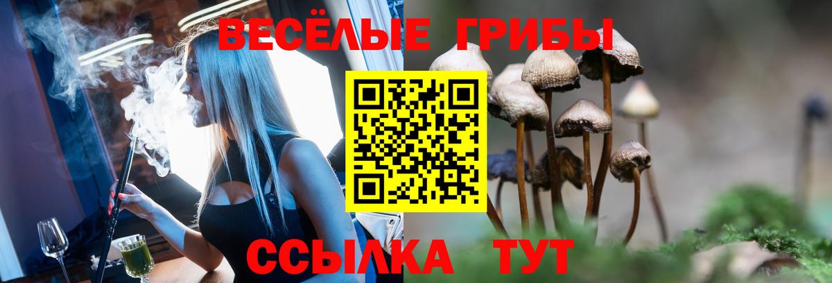 Псилоцибиновые грибы ЛСД  что такое наркотик  Новый Уренгой  Вход с VPN 